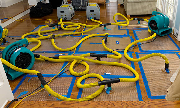 Professional Structural Drying And Dehumidification technician working in Stanton, MI